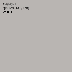 #B8B5B2 - Pink Swan Color Image